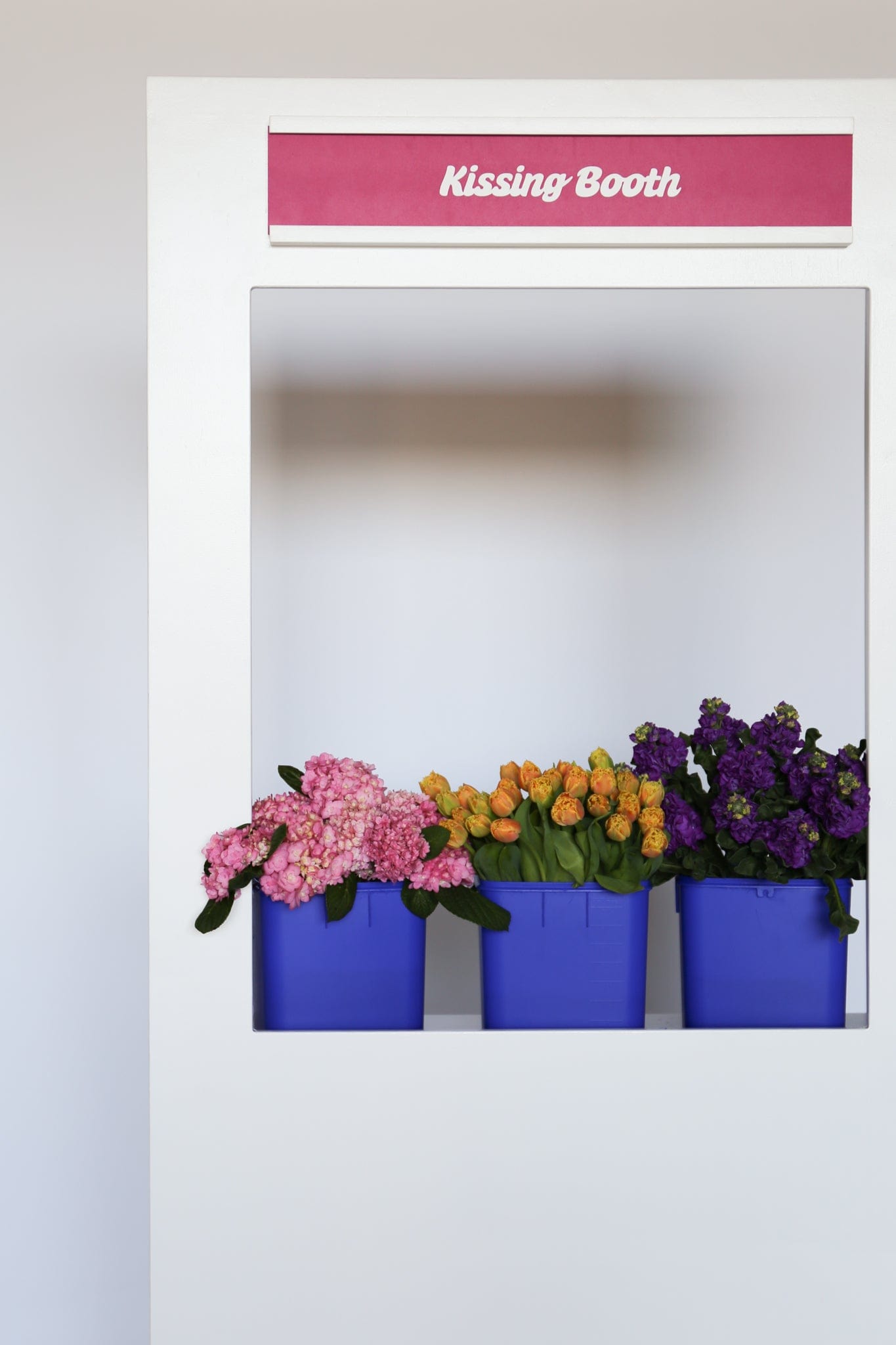 KISSING Booth (SOLID UNIT)