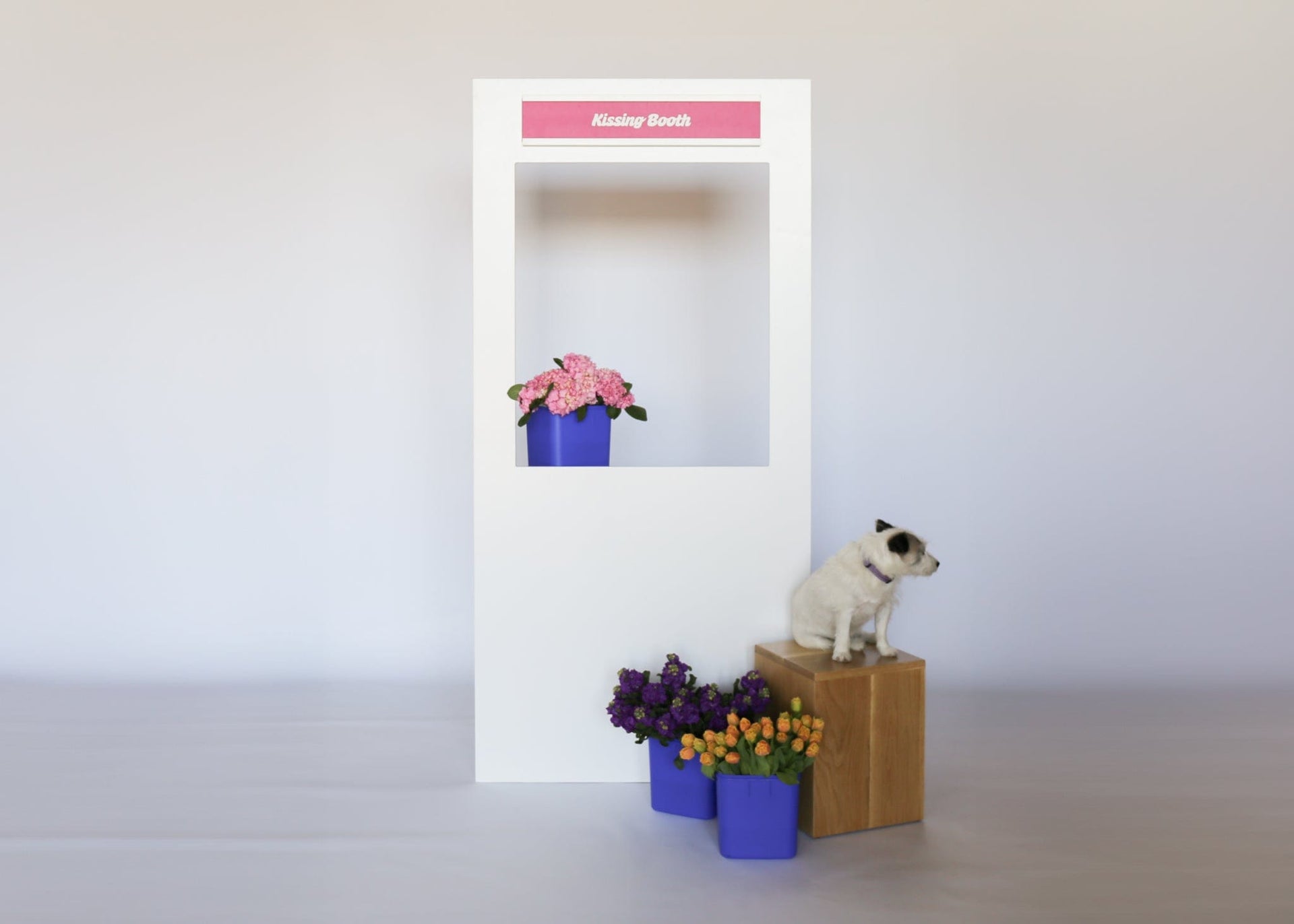KISSING Booth (SOLID UNIT)