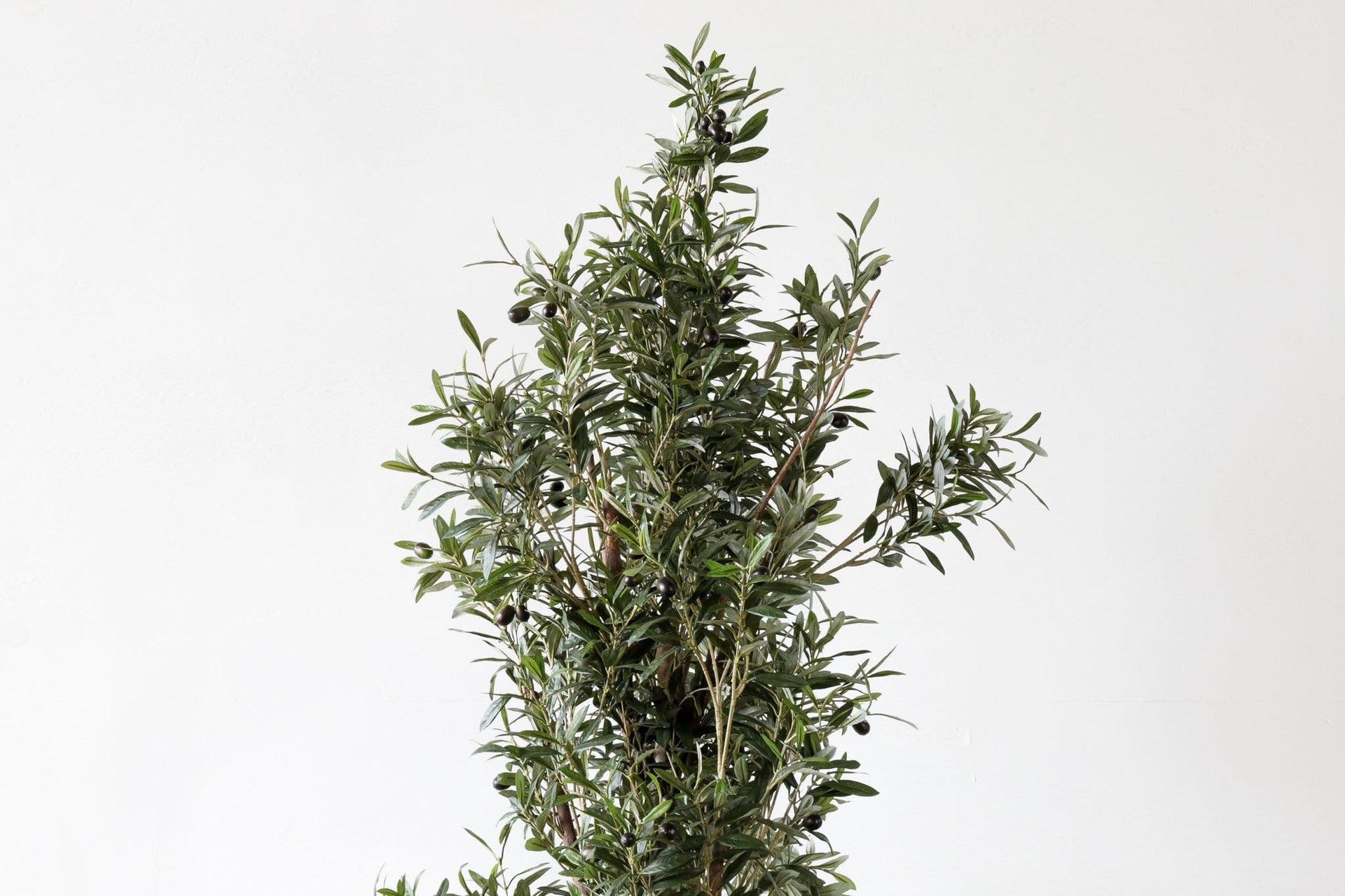 Faux Tree - OLIVE TREE