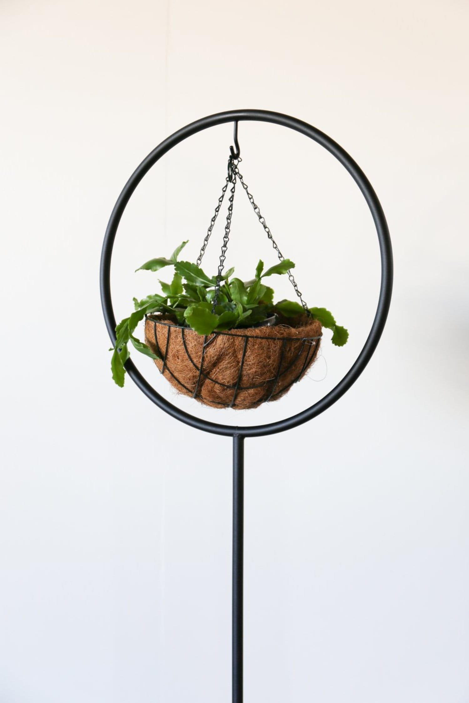 CHIPPER Plant/Floral Stand
