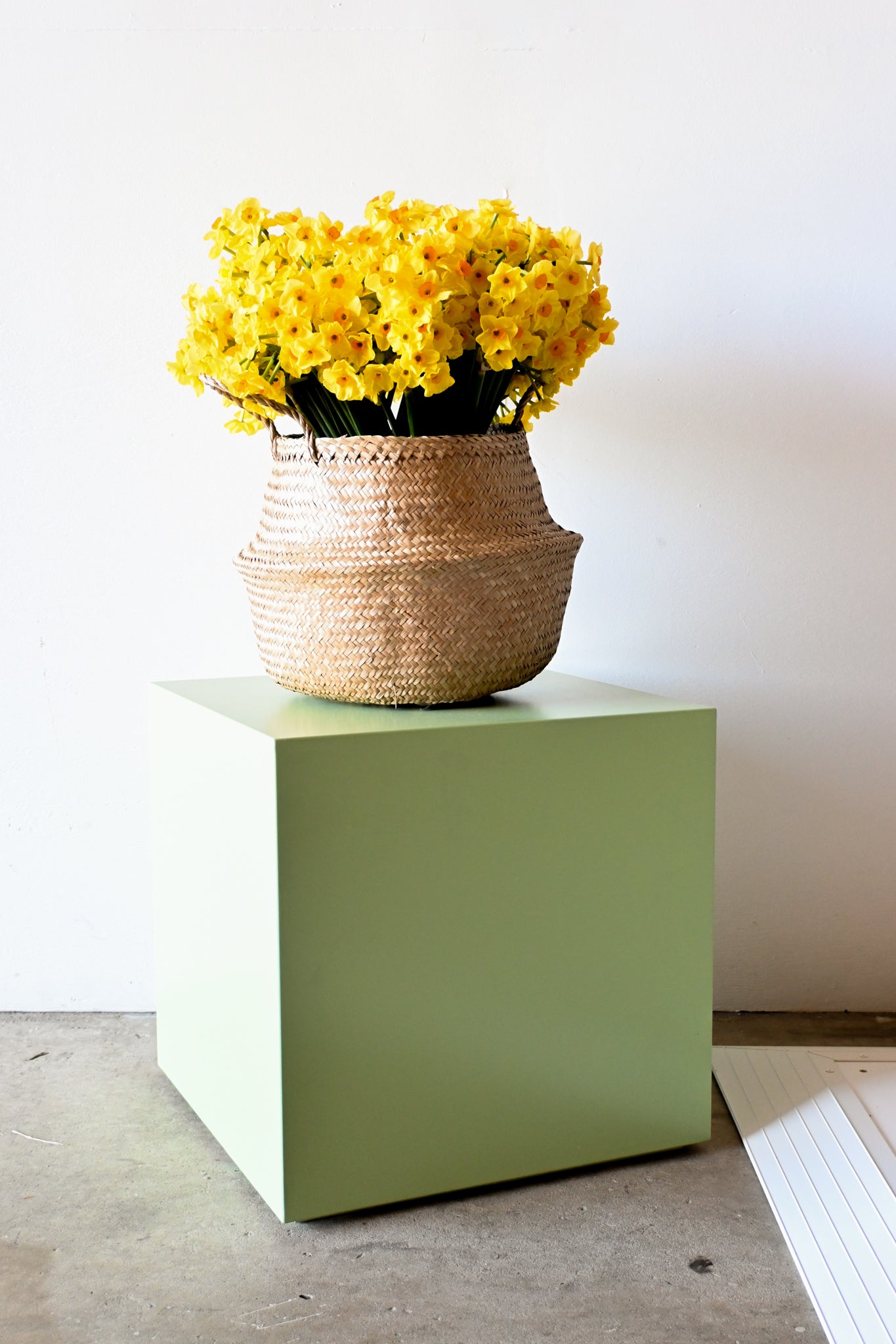 BW Plinth - 450mm H - LIGHT GREEN